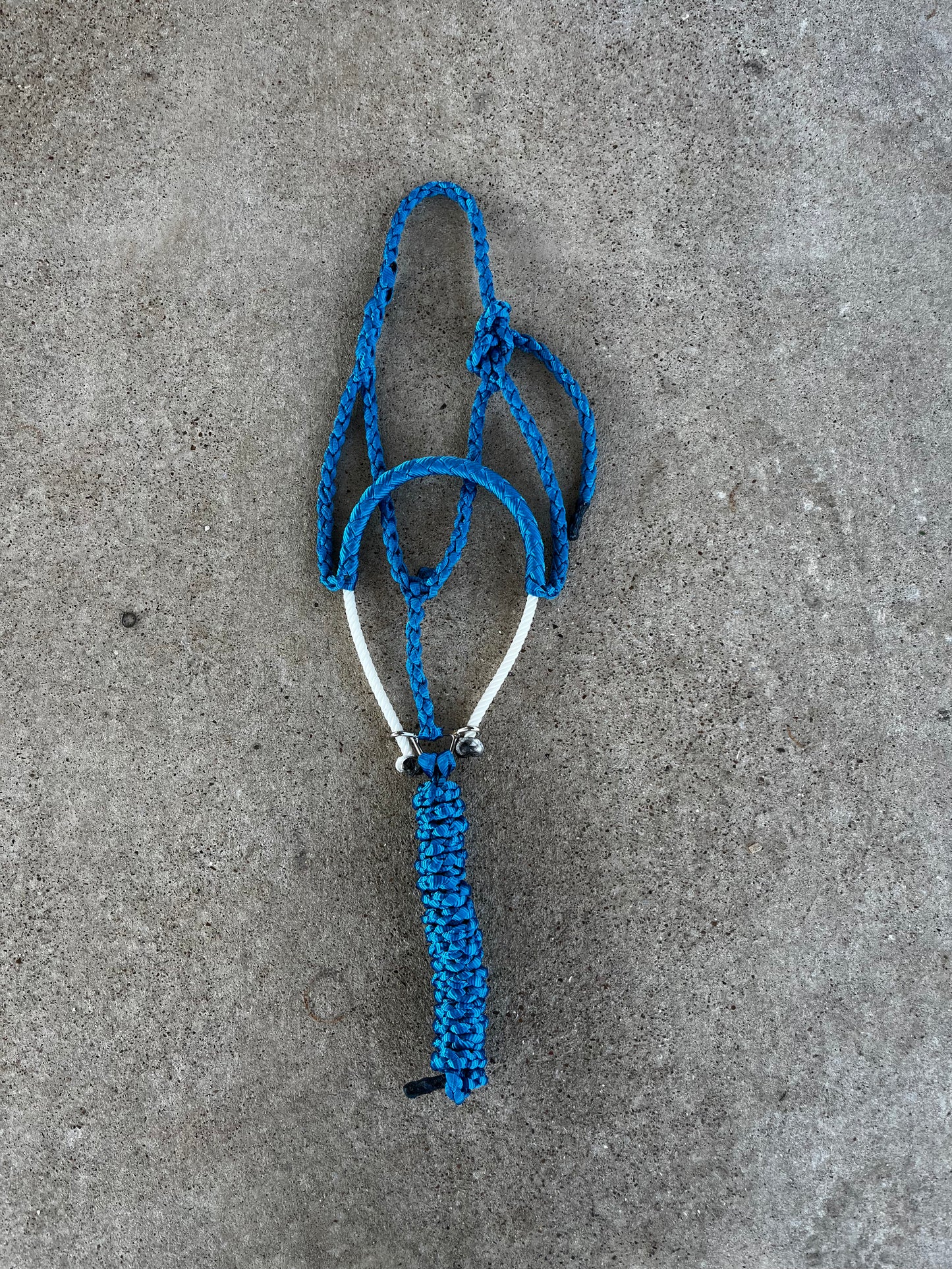 Royal Blue Rope Noseband
